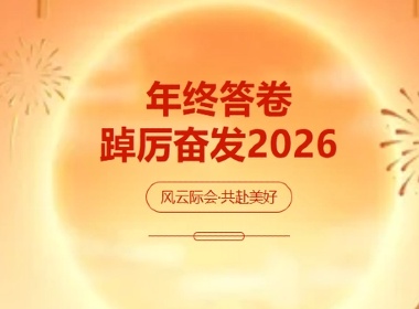 维实嘉业2025年度答卷：数说服务与发展！