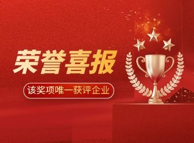 荣誉加冕｜维实嘉业获评年度最佳服务商，引领企业网络服务新高度