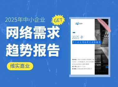 维实嘉业，重磅发布《2025 年中小企业网络需求趋势报告》